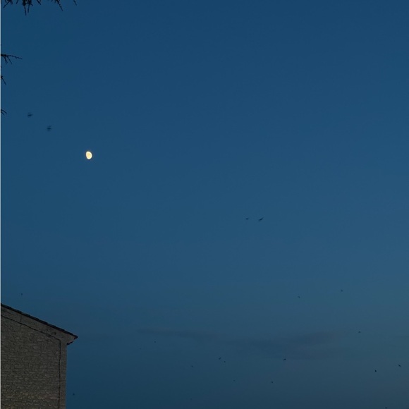 Meet your Posher, Kory - Picture 1 of 1